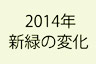 雲場池ブログ2014年新緑