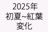 _ruO2024NgtɃN